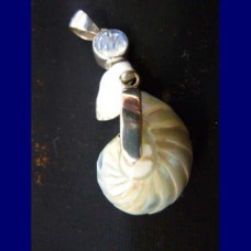 pendant..nautilus shell,sterling silver